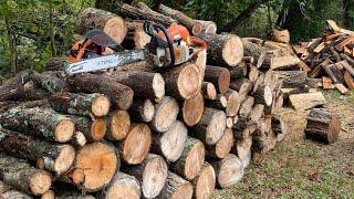 Cutting Firewood with Stihl MS290, a day at my wood lot!