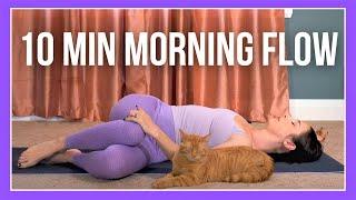 10 min Morning Yoga Flow (feat. TACO)