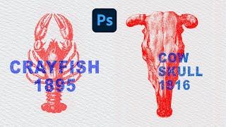 Photoshop Tutorial How To Make Vintage Overprint Effect And Grunge Text with Adobe Photoshop