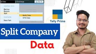 How to Split company data in tally prime