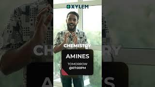 Chemistry: Amines - Live Session Tomorrow!