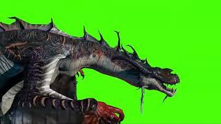 Dragon on a Green Screen