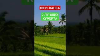 ШРИ-ЛАНКА 2024: ЛУЧШИЕ КУРОРТЫ ДЛЯ ОТДЫХА С ДЕТЬМИ: пляжи, цены #шриланка2024 #унаватуна #unawatunaа