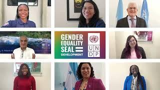 UNDP Gender Equality Seal for Development