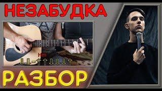 Тима Белорусских -  Незабудка (РАЗБОР ЗА 3 МИНУТЫ!!) АККОРДЫ