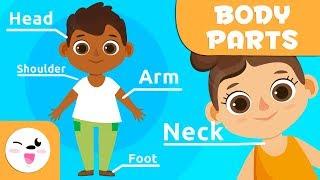 The Human Body for children - Body Parts for Kids