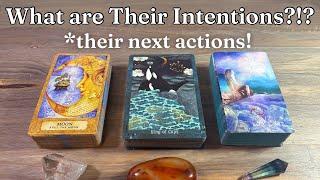 ️ Their Intentions and Next Actions Towards You! PICK A CARD Love Tarot Reading *Timeless