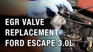 EGR Valve Replacement - Ford Escape 3.0L