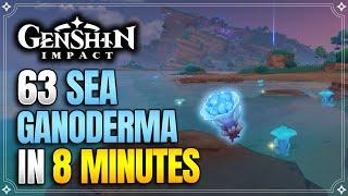 Sea Ganoderma Locations | Fast and Efficient Route | Yae Miko Ascension Materials |【Genshin Impact】