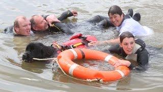 Wasserrettung mit Hund - Internationales Neufundländertreffen