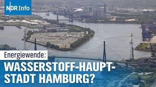 Hamburg im Wasserstoff-Rennen: Wie die Hansestadt die Energiewende vorantreibt | NDR Info