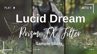 Lucid Dream Fx Lens Filter Review