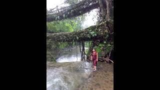 |Double decker living root bridge|at Nongriat village|Cherrapunji| Meghalaya