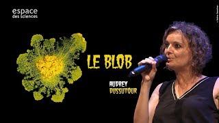 [Audrey Dussutour] Le Blob