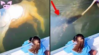 7 Creepiest Things Caught on Camera That NO ONE Can Explain…