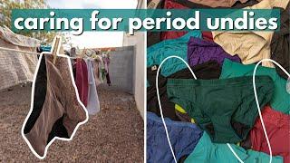 HOW TO WASH PERIOD PANTIES // Caring for period underwear: wash, dry, deep clean, and storage