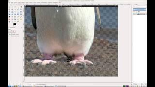 G'MIC Tutorial #7 : Easy Foreground Extraction in GIMP with the G'MIC Plug-in