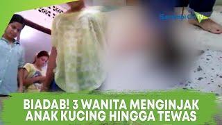 Biadab! 3 Wanita ini Menginjak-injak Anak Kucing Hingga Tewas