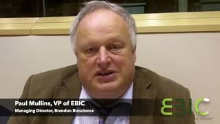 Perspectives on innovation for the bioeconomy -- Paul Mullins, VP of EBIC