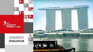 Standort Singapur - Dependance der DFL