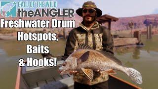 COTW: The Angler | Freshwater Drum Hotspots, Baits & Hook Sizes! (NEW UPDATE)