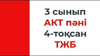 3 сынып Информатика 4 тоқсан ТЖБ тапсырмаларын талдау