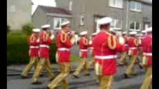 orange walk in mossblown