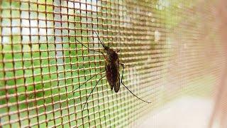 Absolute Pest Management - Best Exterminators in Spartanburg SC