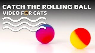 CAT GAMES - Catch the Rolling Ball! Video for Cats & Dogs to Watch.