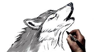 How to Draw A Howling Wolf | Step by Step