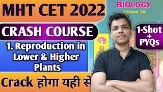 Biology MHT CET Crash Course 2022 || One Shot + PYQs Chapter 1 Reproduction in Higher & Lower Plant