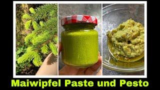 Maiwipfel Pesto Rezept | Fichtennadel-Pesto und Würzpaste | Selbstversorgung: Maiwipferl