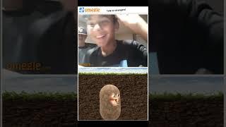 Omegle Trolling as a potato 