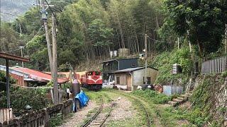 【Alishan Forest Railway】Main Line Train Cab Ride Part 2 (Zhangnaoliao to Shizilu)｜林鐵本線路程景(樟腦寮-十字路)