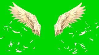 Green Screen Angel Wings Video Effect