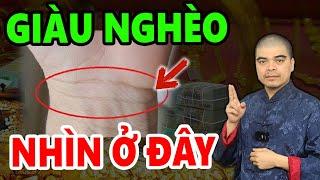 Nhìn CỔ TAY 3 Giây Biết Ngay VẬN MỆNH SƯỚNG KHỔ, Giàu Nghèo Cả Đời Mà Không Cần Phải Đi XEM BÓI