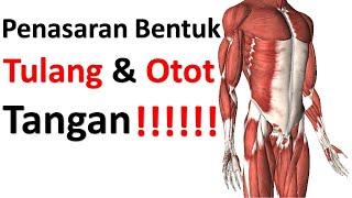 Penasaran Bentuk Tulang dan Otot Tangan !!!!!!