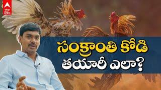 Pandem Kodi |  సంక్రాంతి పందాలకు పోటీ పడే కోళ్లు ఎలా సిద్ధమవుతాయో తెలుసా | DNN| ABP Desam