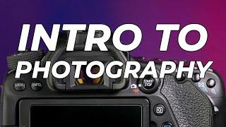 Introduction to Photography (FOR COMPLETE BEGINNERS)