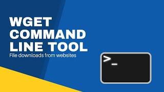 How to download files/website using wget download in 2022