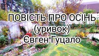 Повість про осінь (Євген Гуцало)