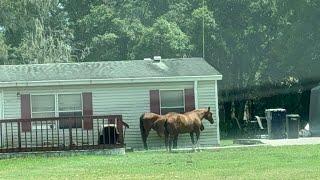 Crystal Springs, Florida - A Hidden Redneck Wonderland