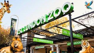 ZSL London Zoo Tour | London, England | AzzaVlogs