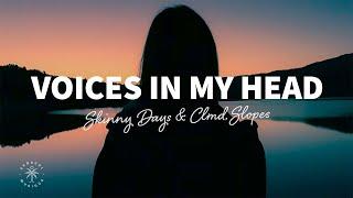 Skinny Days & CLMD - Voices In My Head (Lyrics) ft. Slopes