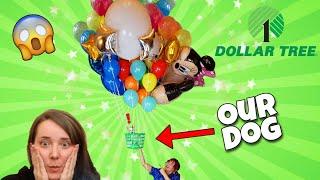 Can We Make Our Dog Fly With BALLOONS? Jenna Marbles Inspired Dollar Store Balloon Shopping
