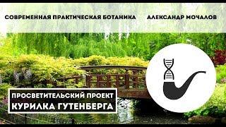 Cовременная практическая ботаника – Александр Мочалов