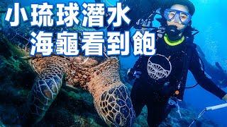 在小琉球潛水，海龜看到飽｜水肺潛水｜林宣 Xuan Lin