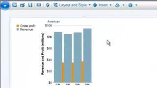 BSP   IBM Cognos 10 Business Insight Studio