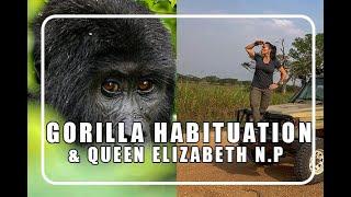 5 day gorilla habituation experience and Wildlife safari game drive in Uganda- Uganda safari tour