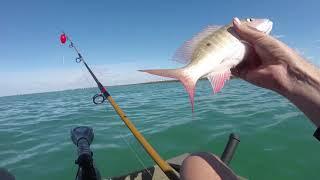 Chum Fishing for Porgy, Mutton and Mangrove Snapper off Cape Florida